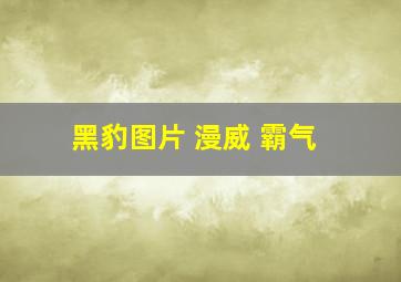 黑豹图片 漫威 霸气